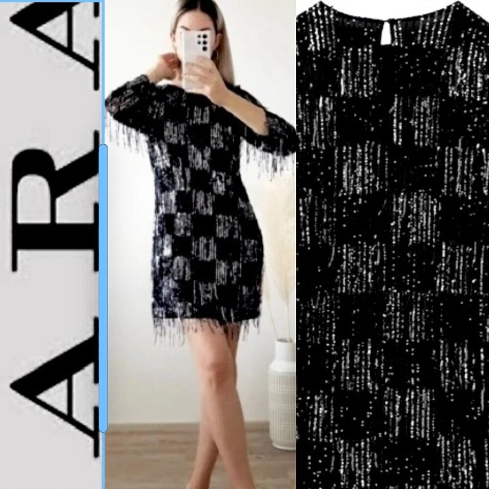 Zara Sequin Fringe Dress